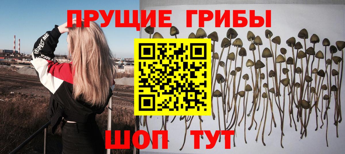 Галлюциногенные грибы GOLDEN TEACHER Кемерово