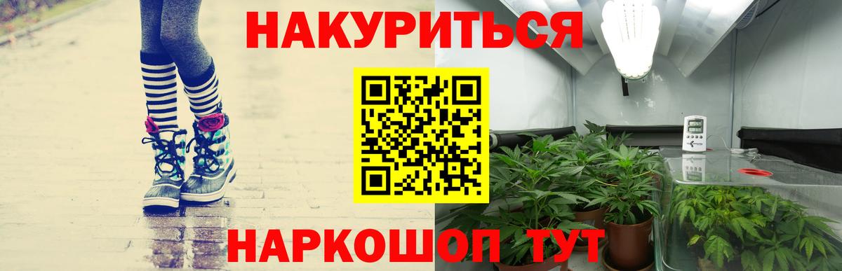 Конопля план Кемерово